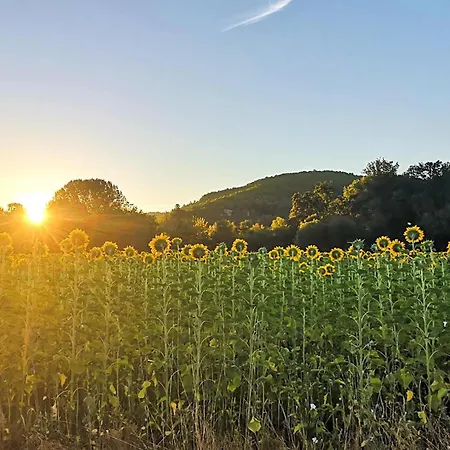 펜션 1 Bedroom Awesome In Saint-martial-de-nabir